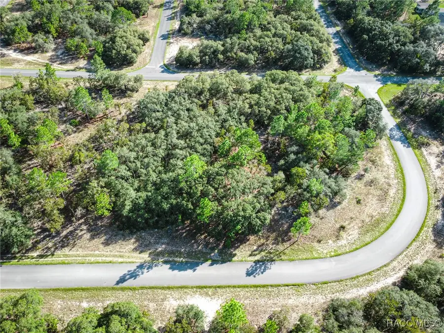 3024 W Redgate Drive, Citrus Springs, FL 34433 - Image #3