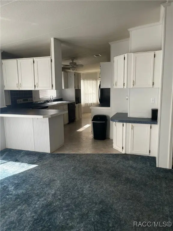 3889 W Whippoorwill Street, Lecanto, FL 34461 - Image #2