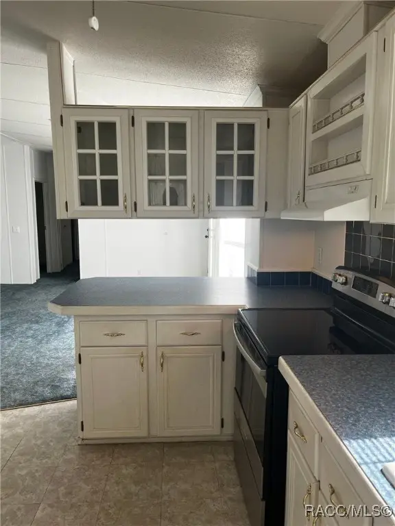 3889 W Whippoorwill Street, Lecanto, FL 34461 - Image #3