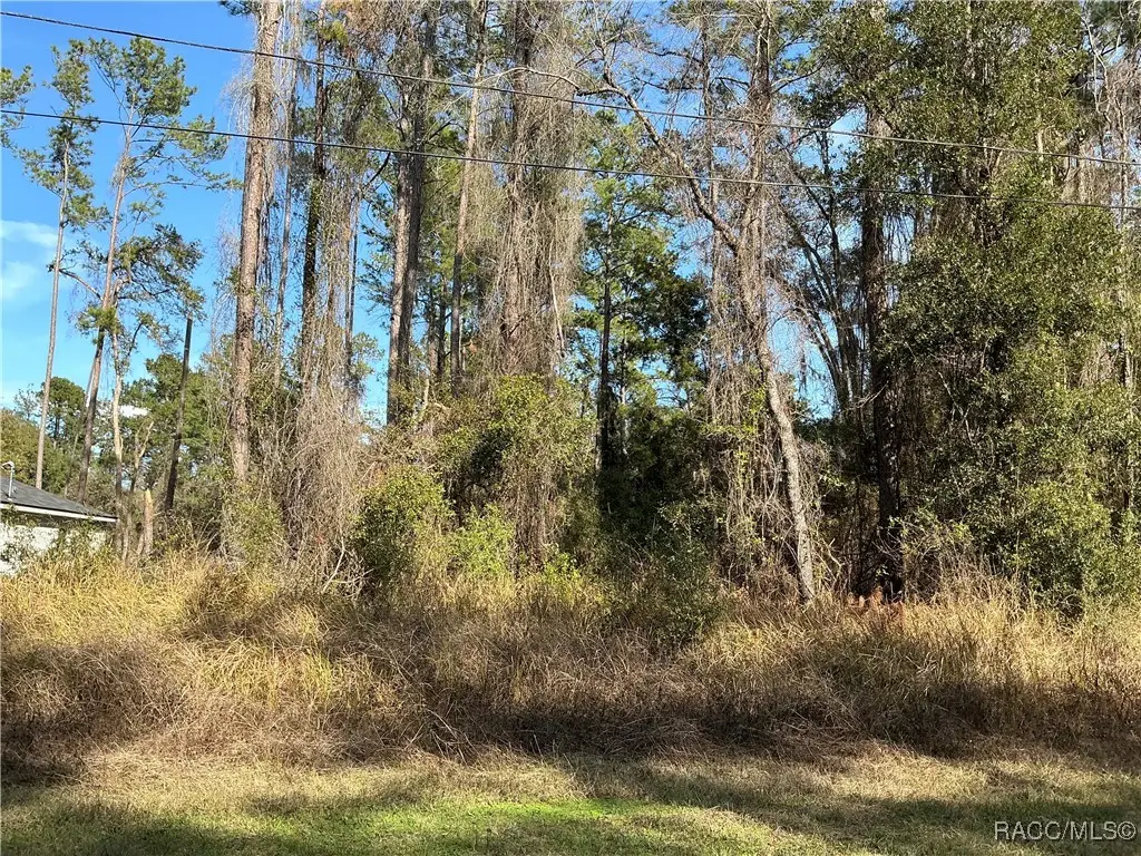 9879 N Athenia Drive, Citrus Springs, FL 34434 - Image #1