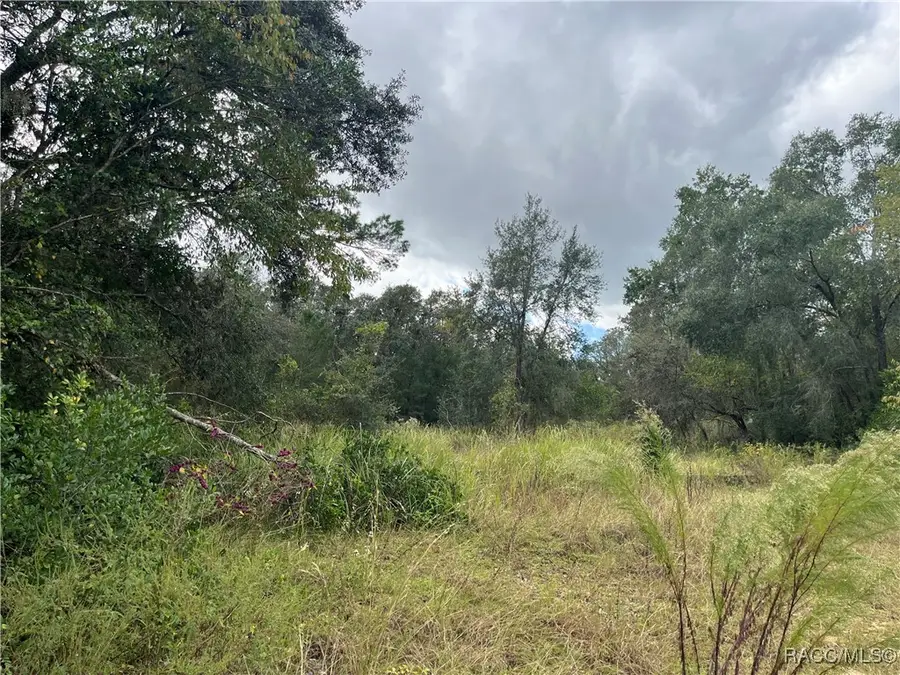 3800 E Crystal Lane, Inverness, FL 34452 - Image #2