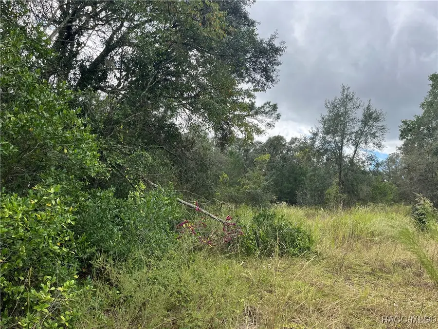 3800 E Crystal Lane, Inverness, FL 34452 - Image #3