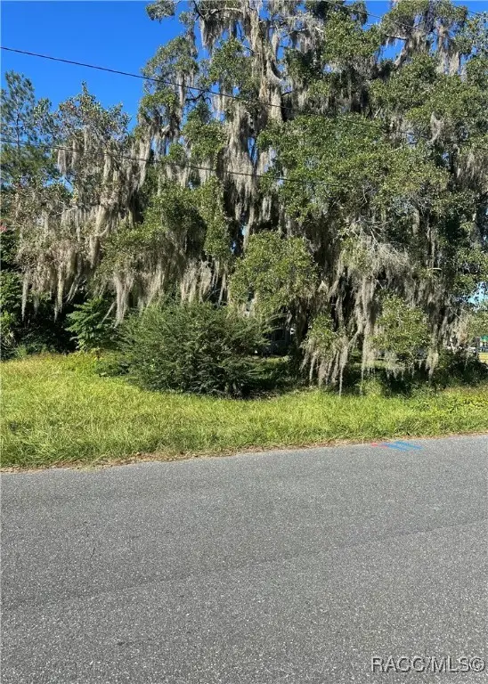 Lot 8 NE 1st Street, Williston, FL 32696 - Image #3