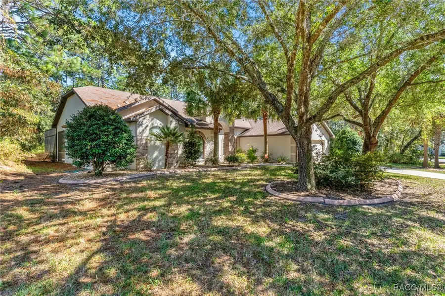 19 Livingstone Daisy Court, Homosassa, FL 34446 - Image #3