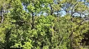 8178 W Windhaven Place, Homosassa, FL 34448 - #3