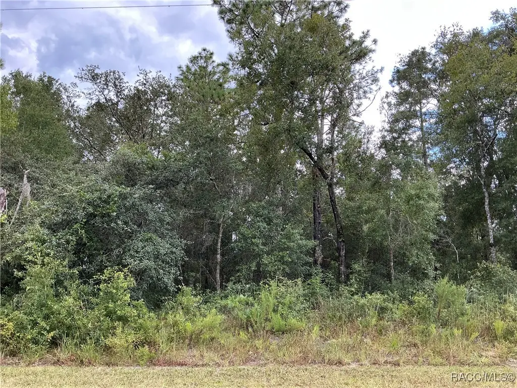 2846 E Celina Street, Inverness, FL 34453 - #1