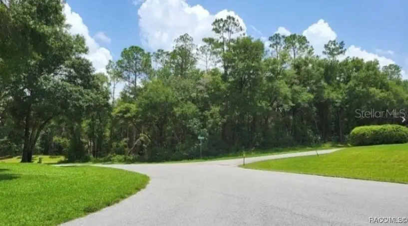 00 SW 192nd Circle, Dunnellon, FL 34432 - #1