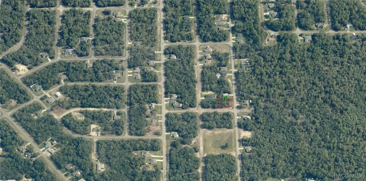 6162 N Darlington Drive, Dunnellon, FL 34434 - #1