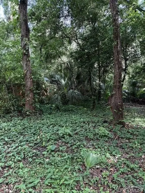 9379 E Tin Pan Alley, Inverness, FL 34453 - Image #2