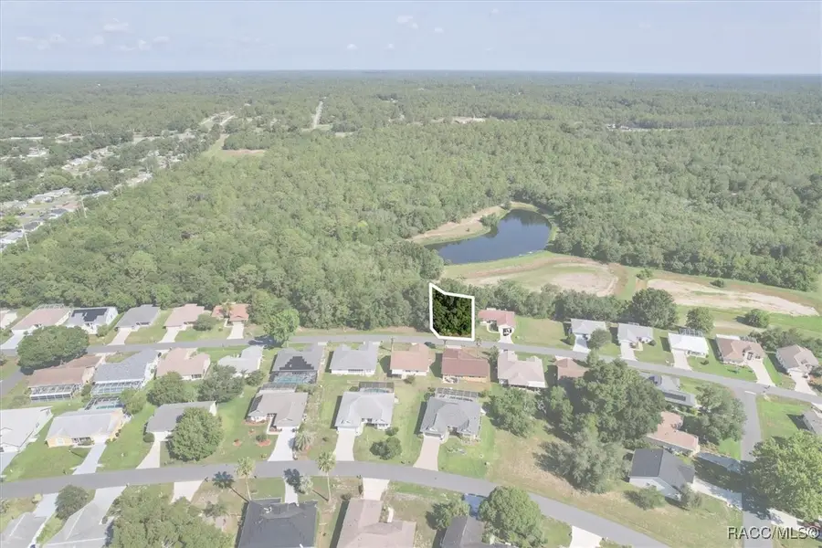 905 W Colbert Court, Beverly Hills, FL 34465 - #2