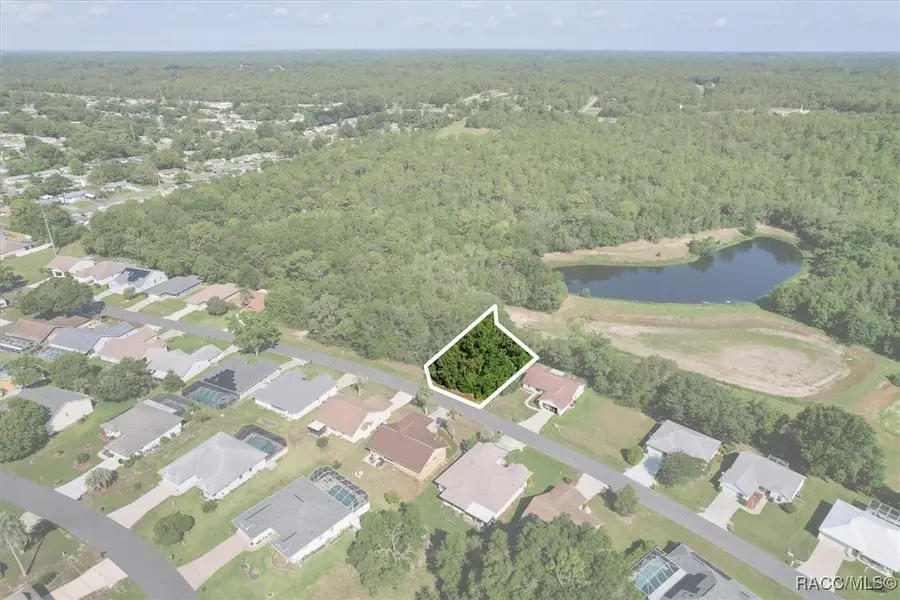 905 W Colbert Court, Beverly Hills, FL 34465 - #3