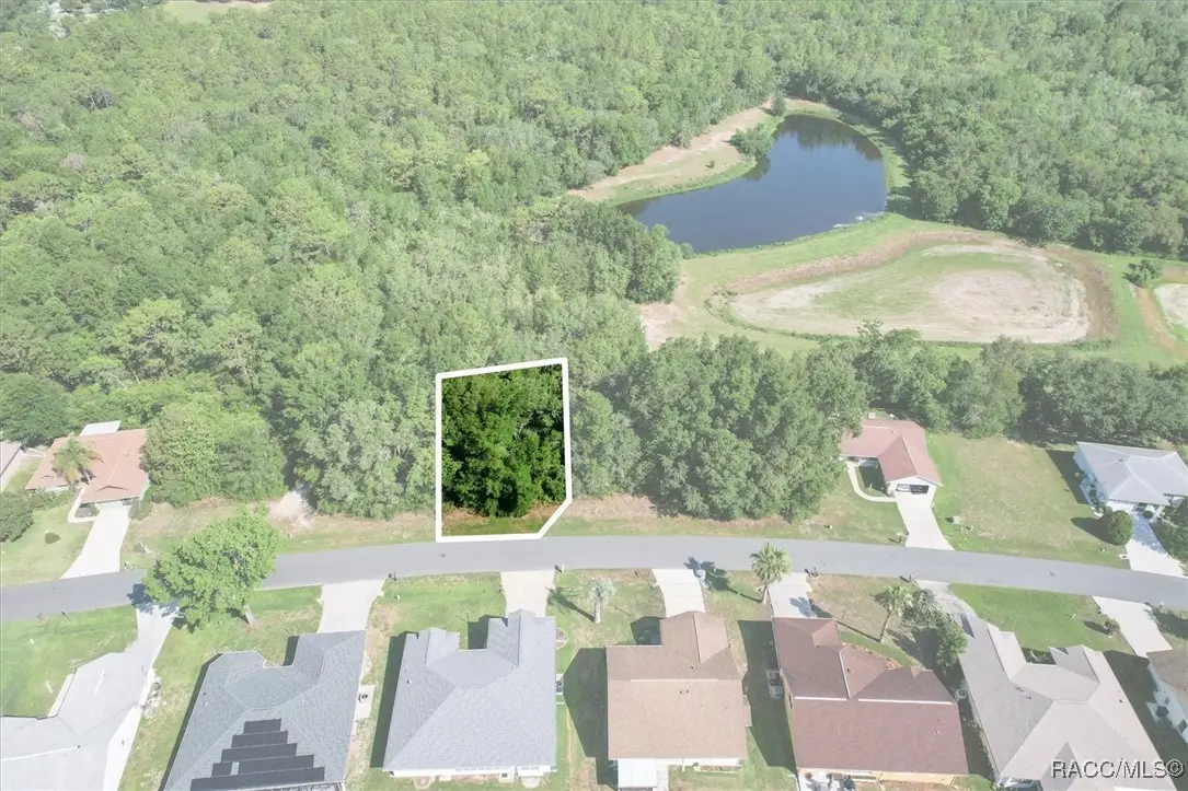 911 W Colbert Court, Beverly Hills, FL 34465 - #1