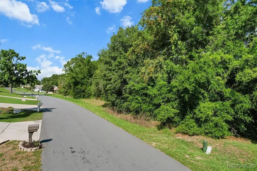 911 W Colbert Court, Beverly Hills, FL 34465 - #3