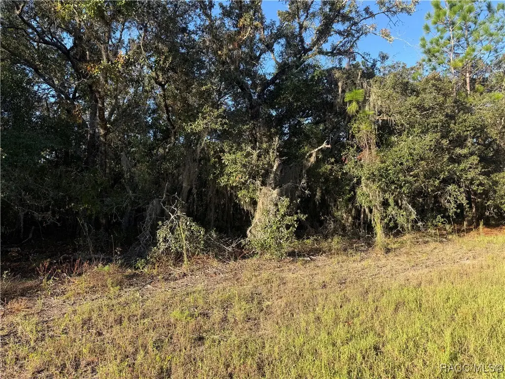 3238 N Sheriff Drive, Beverly Hills, FL 34465 - #1