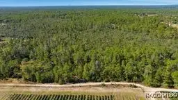 9478 N Timber Creek Terrace, Dunnellon, FL 34433 - #1