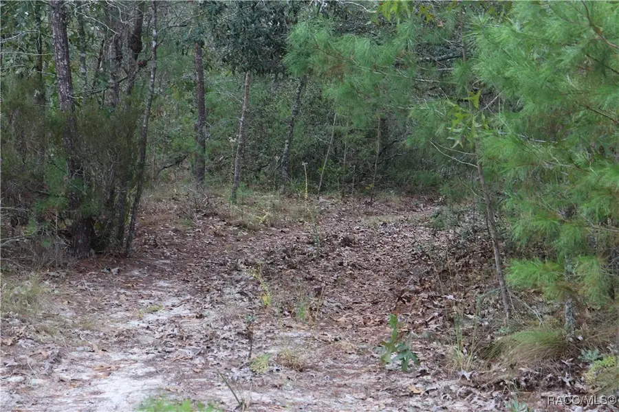 9478 N Timber Creek Terrace, Dunnellon, FL 34433 - #2