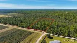 9478 N Timber Creek Terrace, Dunnellon, FL 34433 - #3