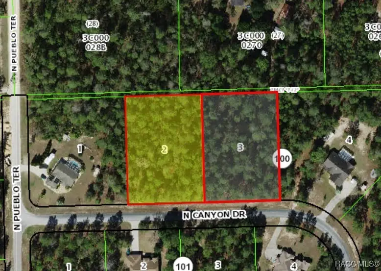 6163 N Canyon Drive, Beverly Hills, FL 34465 - Image #2