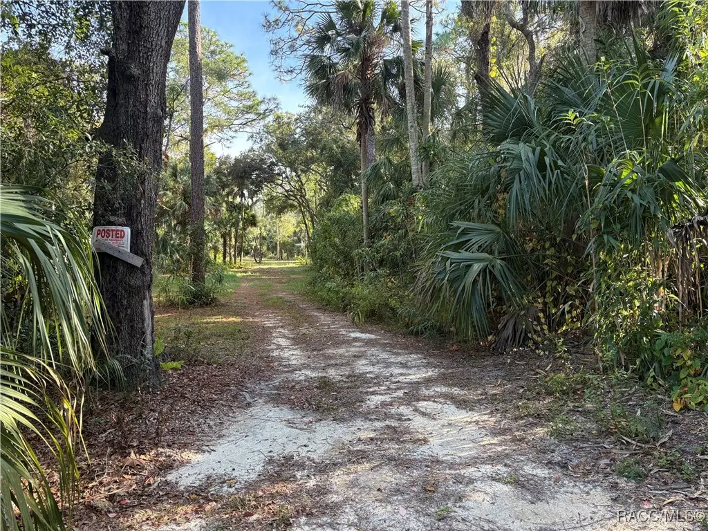 1751 S Palm Avenue, Homosassa, FL 34448 - Image #1