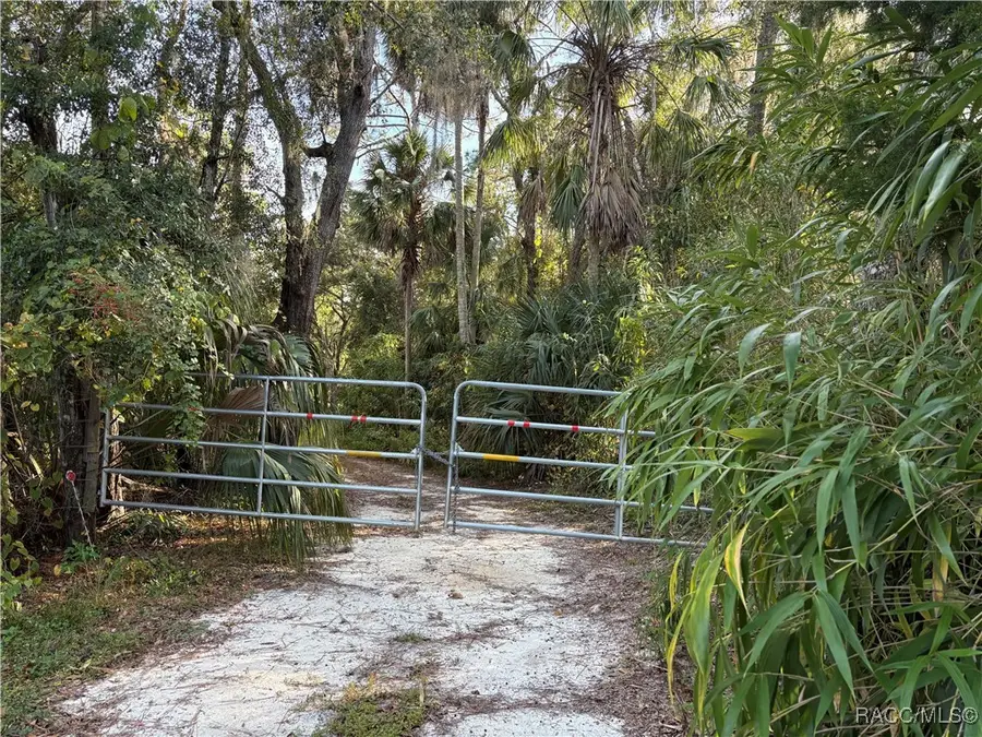 1751 S Palm Avenue, Homosassa, FL 34448 - Image #2