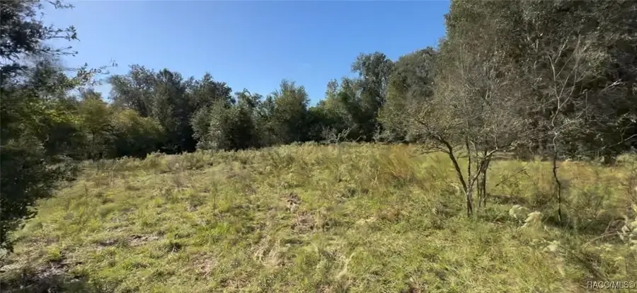 2309 Garfield Street, Inverness, FL 34453 - #2