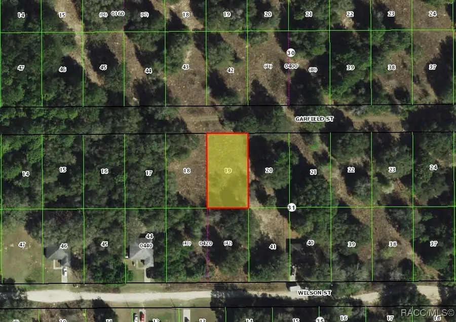 2309 Garfield Street, Inverness, FL 34453 - #3