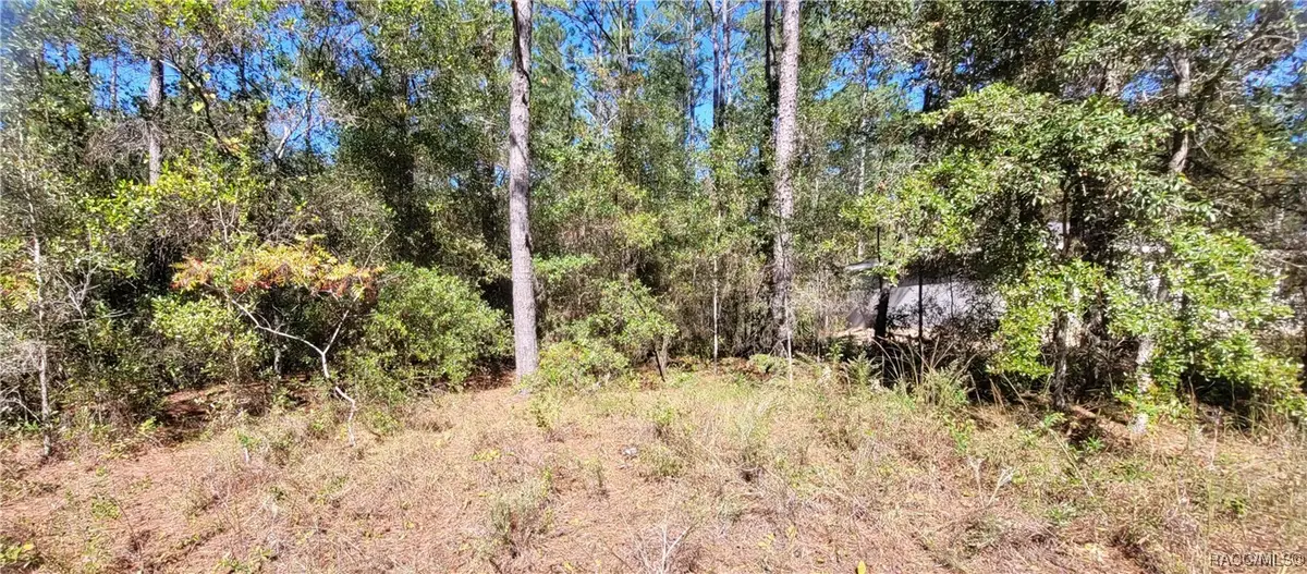 1837 W Water Lily Drive, Citrus Springs, FL 34434 - Image #1