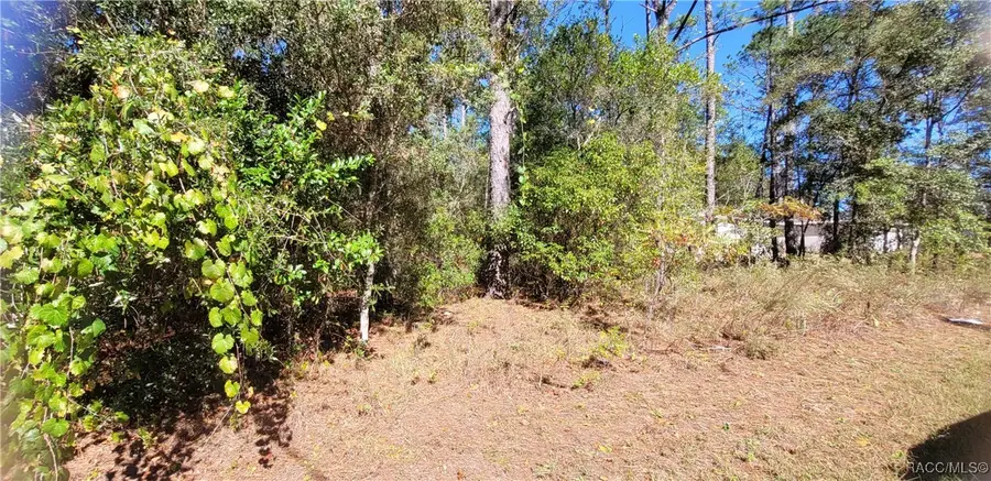 1837 W Water Lily Drive, Citrus Springs, FL 34434 - Image #3