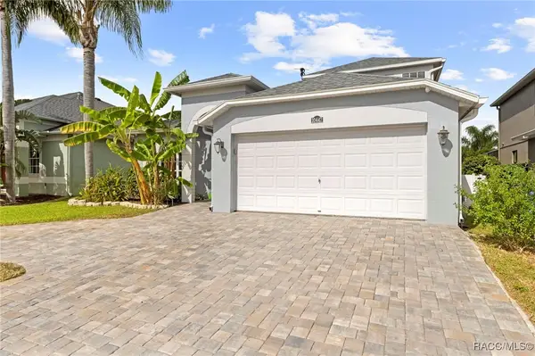 10447 Peppergrass Court, Trinity, FL 34655