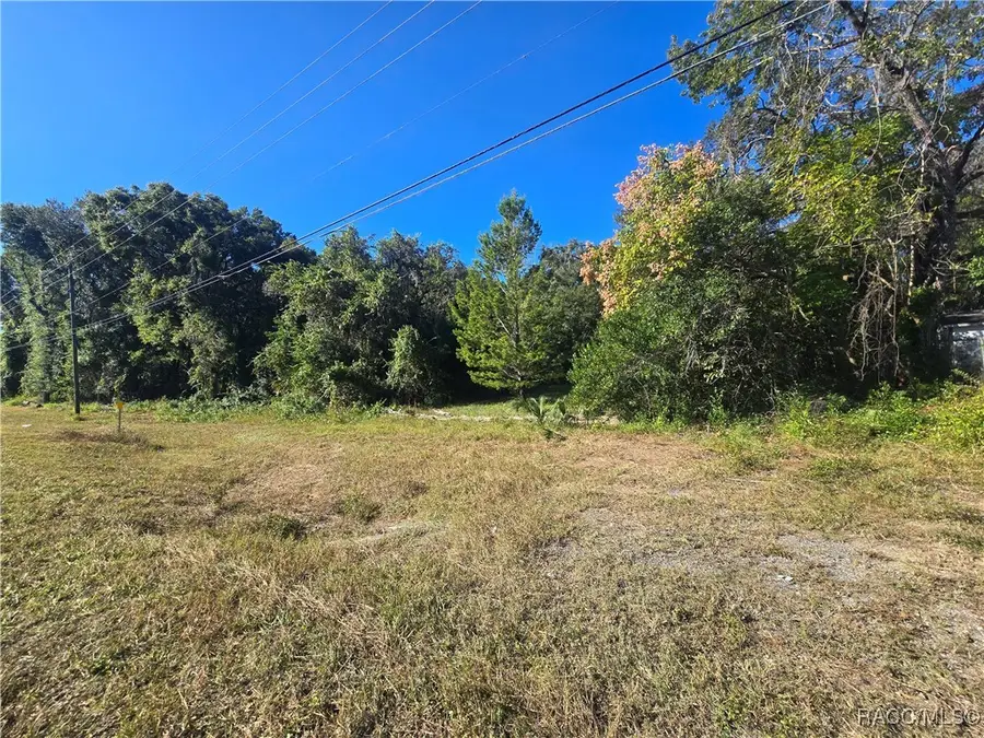 4322 N Carl G Rose Highway, Hernando, FL 34442 - #3