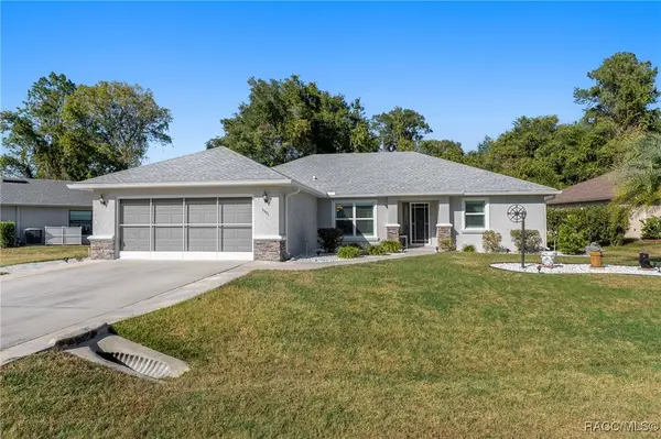 3501 N Chandler Drive, Hernando, FL 34442