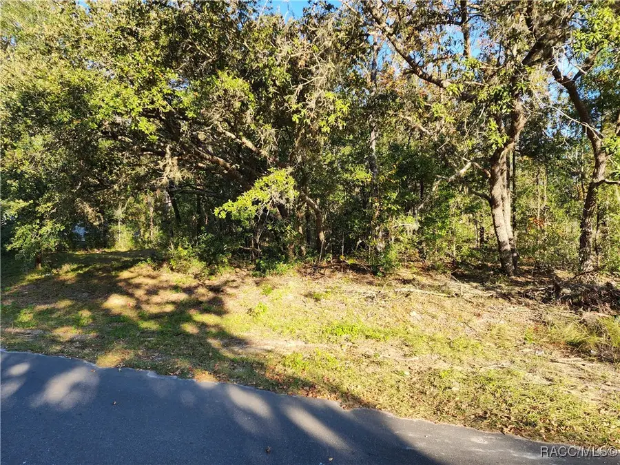 1329 N Mediterranean Way, Inverness, FL 34453 - Image #2