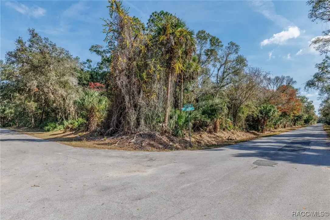 12298 W Marjoram Place, Crystal River, FL 34428 - #1