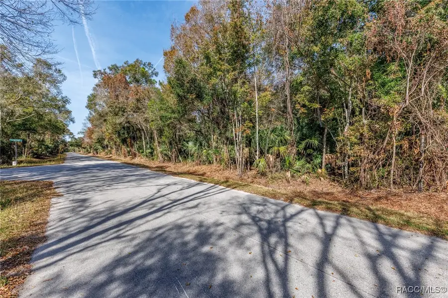 12298 W Marjoram Place, Crystal River, FL 34428 - #2