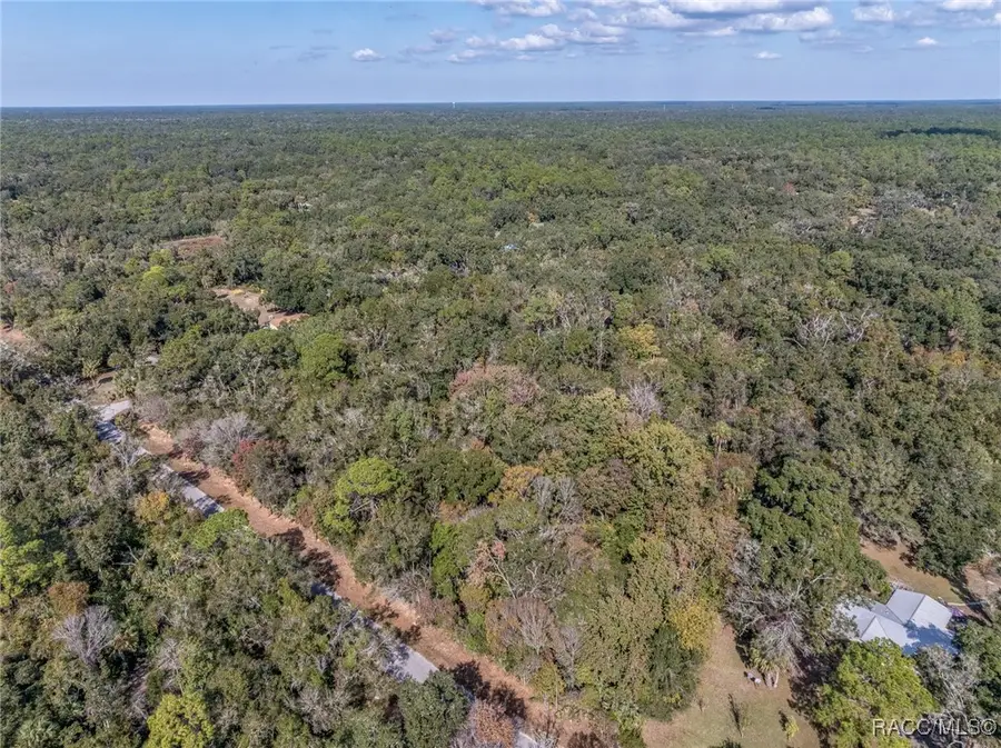 12298 W Marjoram Place, Crystal River, FL 34428 - #3