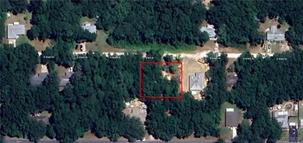 3953 E Grant Street, Inverness, FL 34453