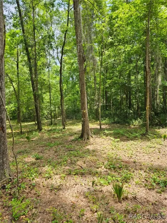 0 NW 83rd Court Road, Ocala, FL 34482