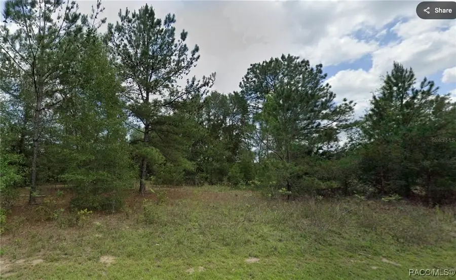 576 E Abady Lane, Dunnellon, FL 34434 - #2