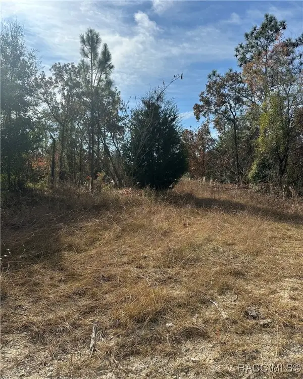 Lot 2 Ne 151st Terrace, Williston, FL 32696