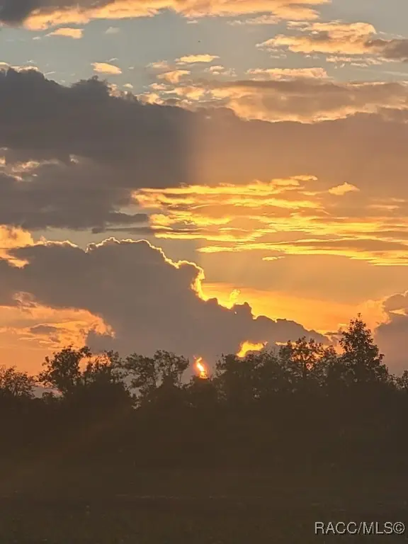 0 Octavia Lane, Webster, FL 33597 - Image #1