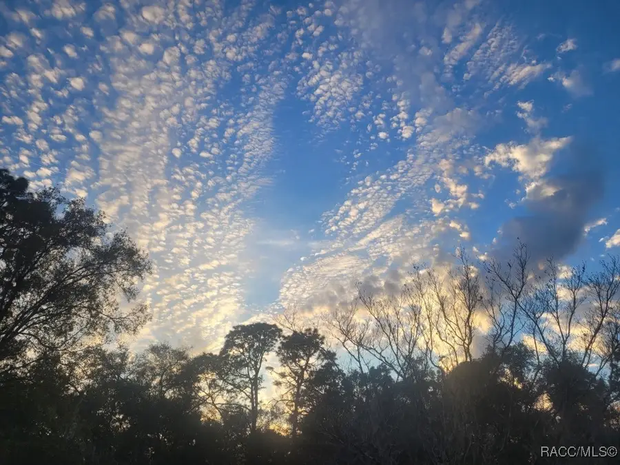 0 Octavia Lane, Webster, FL 33597 - Image #2