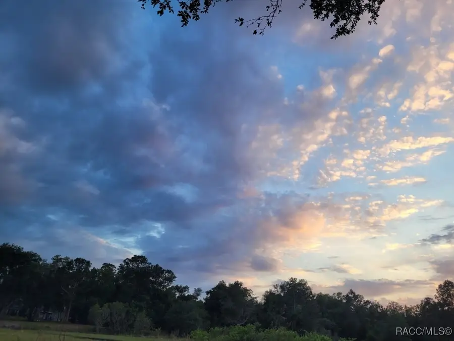 0 Octavia Lane, Webster, FL 33597 - Image #3