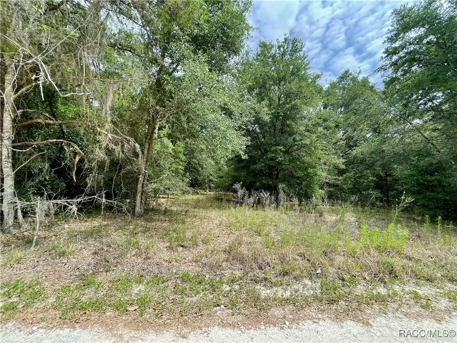 11673 S Dude Terrace, Floral City, FL 34436 - Image #2