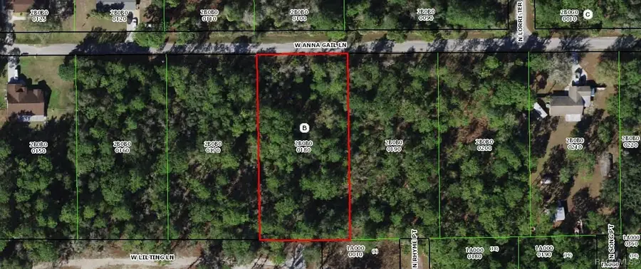 8376 W Anna Gail Lane, Crystal River, FL 34429 - Image #2