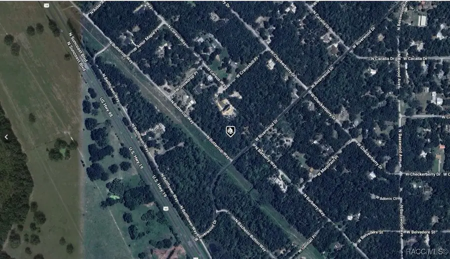 8783 N Buttercup Way, Crystal River, FL 34428 - #2