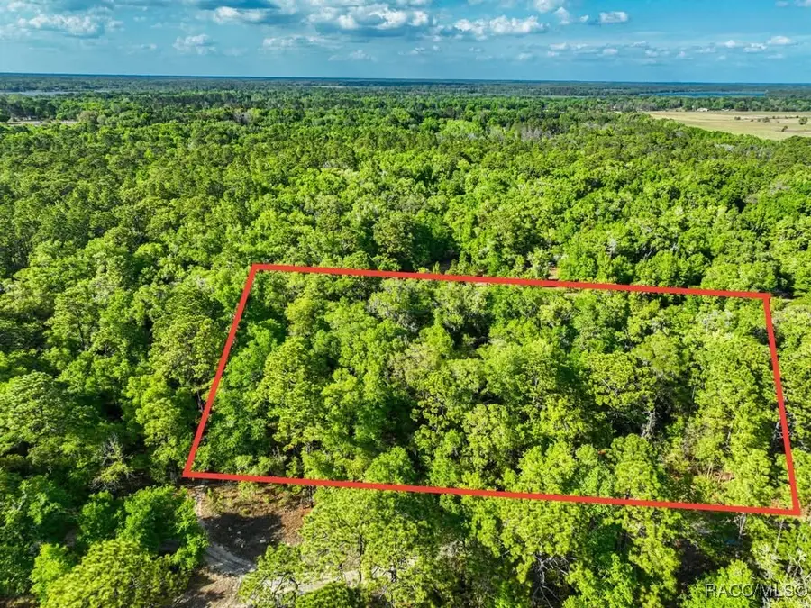 7451 W Rainbow Street, Dunnellon, FL 34433 - Image #3