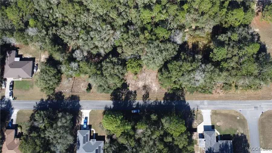 1433 W Lorraine Drive, Citrus Springs, FL 34434 - #2