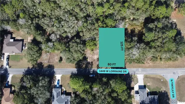 1449 W Lorraine Drive, Citrus Springs, FL 34434