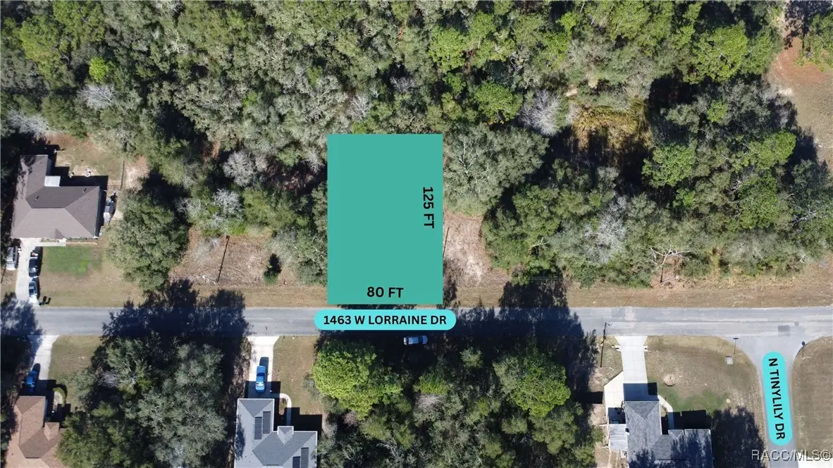 1463 W Lorraine Drive, Citrus Springs, FL 34434 - #1