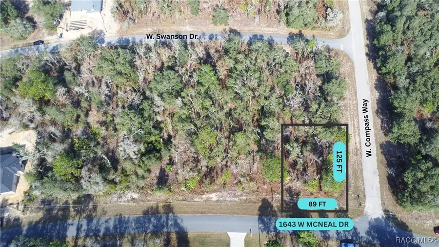 1643 W Mcneal Drive, Citrus Springs, FL 34434 - Image #3